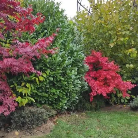 Appartamento Hill Garden Sarajevo
