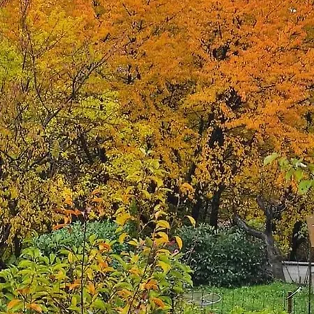 Hill Garden Sarajevo