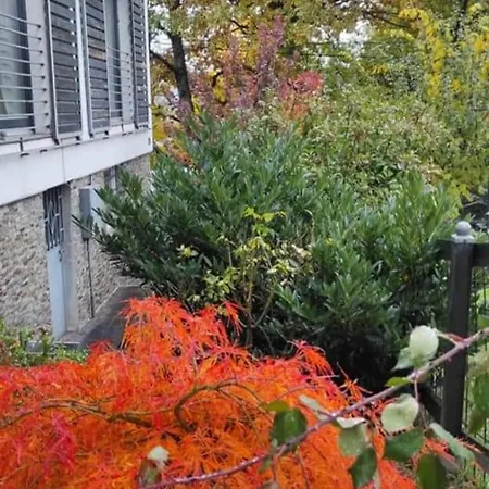 Hill Garden