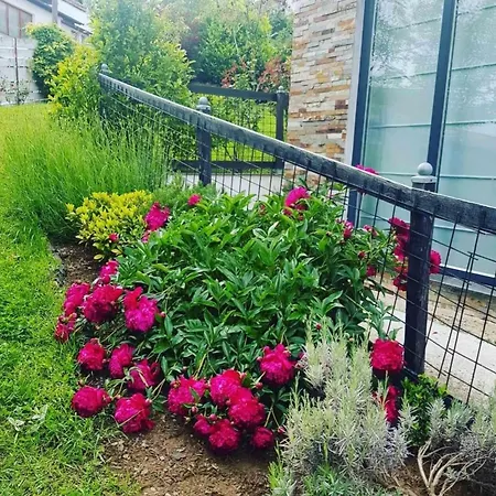 Hill Garden * Σαράγεβο